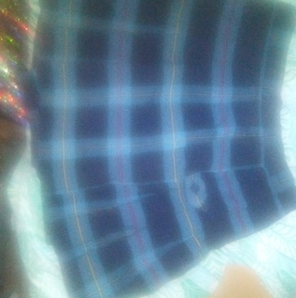 Blue Plaid Skirt